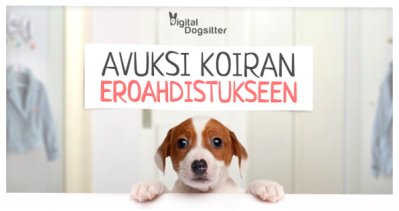 Digital Dogsitter on selaimessa toimiva sovellus, joka tallettaa ääntä ja kuvaa koiran yksinolon ajalta ja näyttää ääntelystä selkeän raportin.